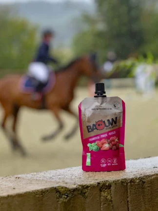 Baouw Purées Énergétiques